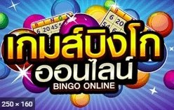 บิงโก คาสิโน