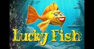Lucky fish